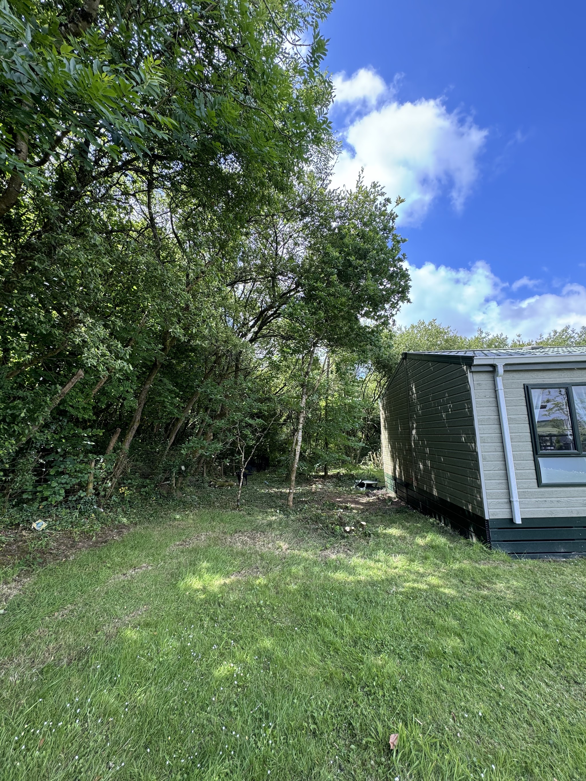 Cleared ground beside a lodge after tree and scrub work