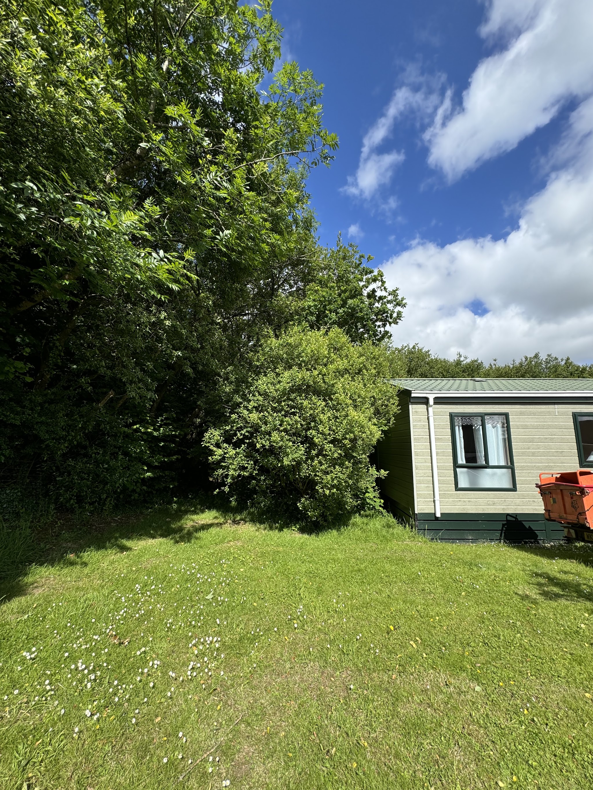 Trimmed trees and shrubs beside a lodge, with a tidy lawn